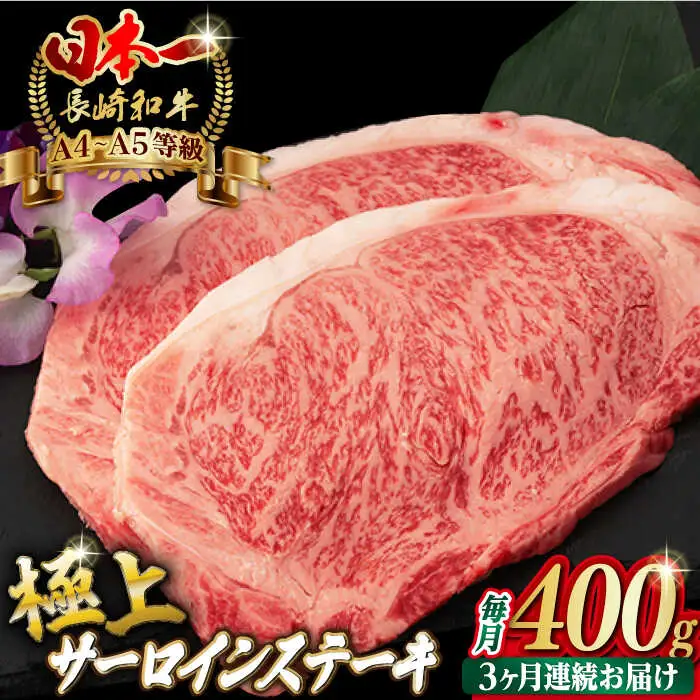 【全3回定期便】サーロイン ステーキ 2枚 400g 長崎和牛 A4-A5【野中精肉店】 [VF19] サーロイン ステーキ