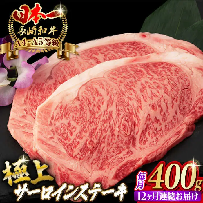 【全12回定期便】サーロイン ステーキ 2枚 400g 長崎和牛 A4?A5ランク 希少部位【野中精肉店】 [VF21] 肉 牛肉 サーロインステーキ 焼肉 定期便