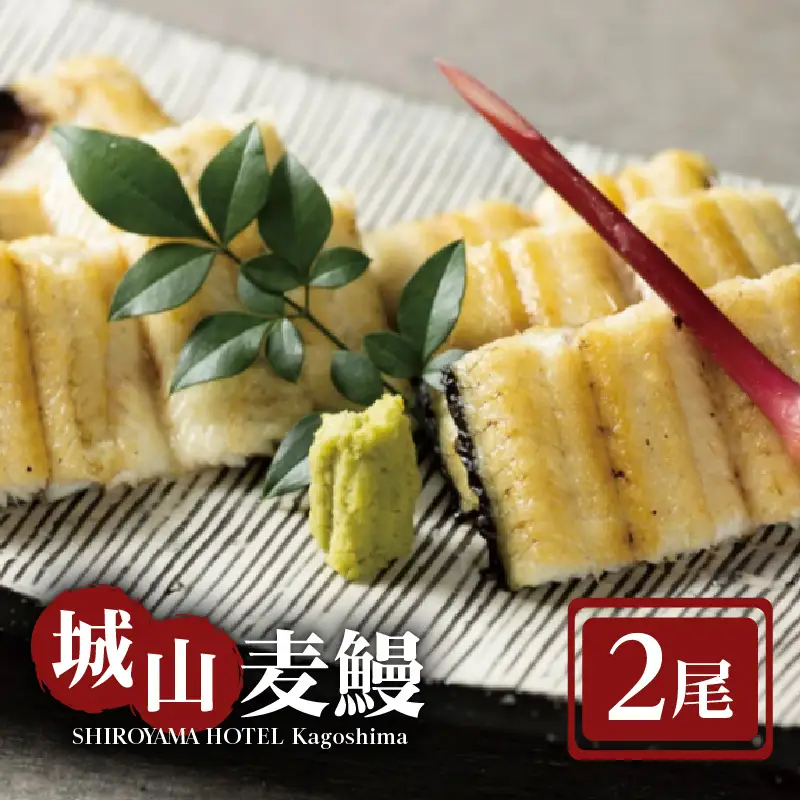 SHIROYAMA HOTEL kagoshima 城山麦鰻 K096-007 うなぎ ウナギ 鰻 ブランド鰻