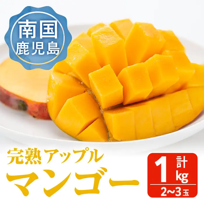 ＜家計応援！数量限定！＞＜2026年8月下旬頃までに発送予定＞完熟アップルマンゴー「紅」(計1kg) マンゴー 果物 フルーツ【大徳産業】 A389-v03