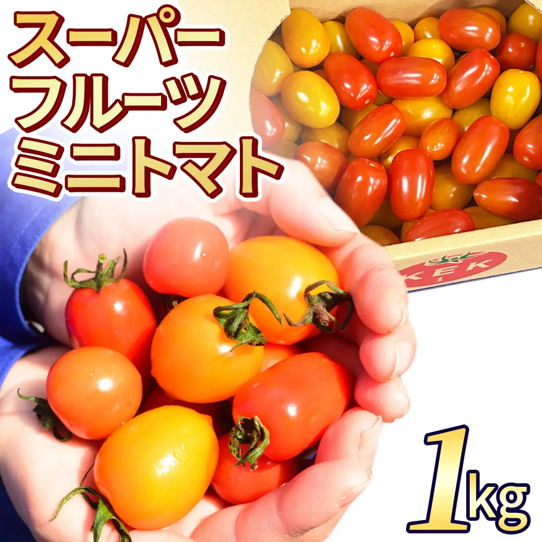 《 2027年 収穫分 》 スーパーフルーツミニトマト 約1kg 先行予約 ミニトマト フルーツトマト ブランドトマト 野菜 ギフト 贈答 [BC070sa]