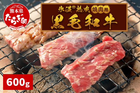 【氷温(R) 熟成】黒毛和牛 焼肉用 600g 牛 牛肉 焼き肉 多良木町 黒毛 和牛 氷温熟成黒毛和牛 氷温熟成 熟成肉 焼肉 焼肉用 焼き肉用 やきにく用 やきにく 熟成 氷温 お肉 肉 高品質 上質 熊本県 030-0684
