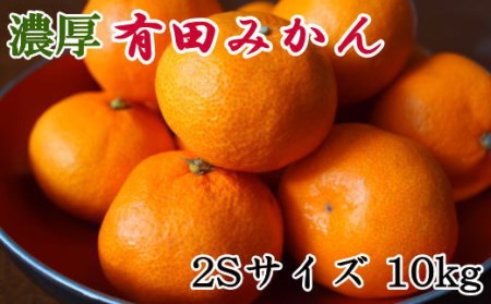【先行予約】【産直・秀品】 和歌山 有田みかん 10kg（2Sサイズ）