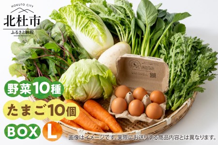 野菜たまごBOX『L』すべて北杜市産 [h208]