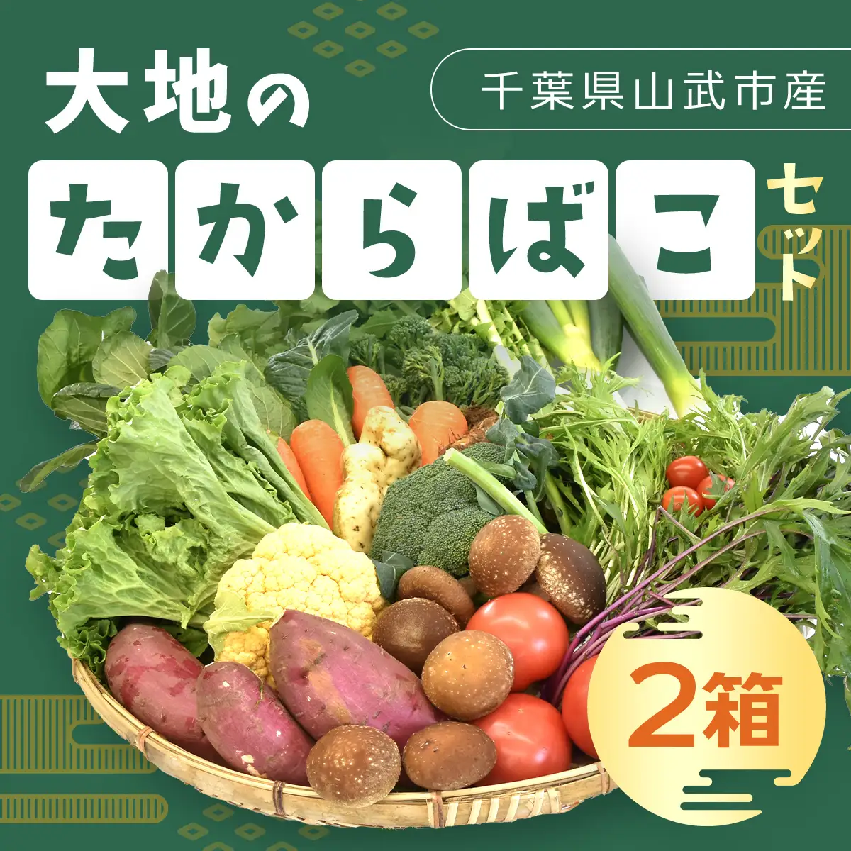 大地のたからばこセット（2箱） SMA001