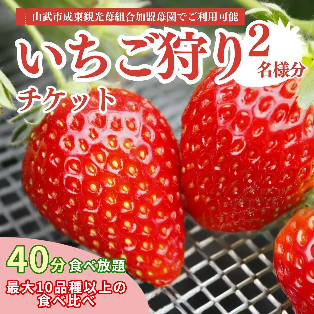 【12月上旬から発送】いちご狩りチケット（2名様分） いちご イチゴ 苺 イチゴ狩り いちご狩り体験 チケット 利用券 千葉県 山武市 SMQ001