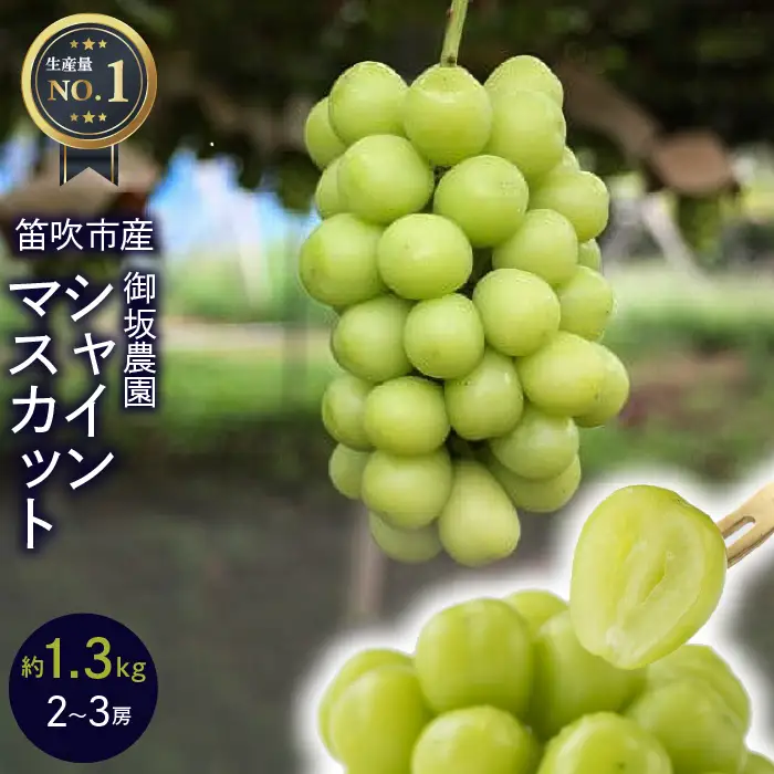 【2026年発送★先行予約】≪数量限定≫ 御坂農園 シャインマスカット 1.3㎏ 005-003