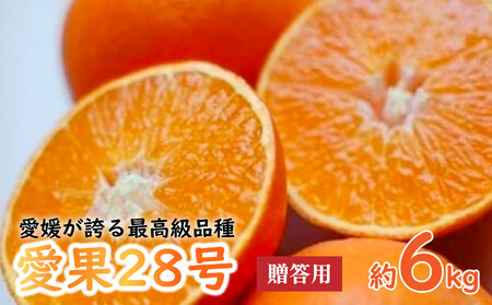 【紅まどんなと同品種】愛果28号 贈答用 化粧箱 6kgまどんな みかん【AB0042】