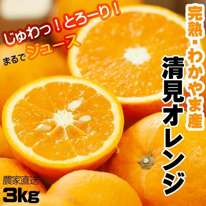 【令和9年 先行予約】清見オレンジ 3kg 混合サイズ 和歌山県 海南市 鈴木農園から直送 清見オレンジ 贈答 プチギフト