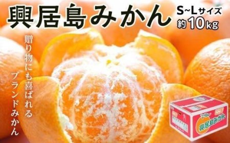 興居島 みかん S～L サイズ 約10kg 【FA0273】