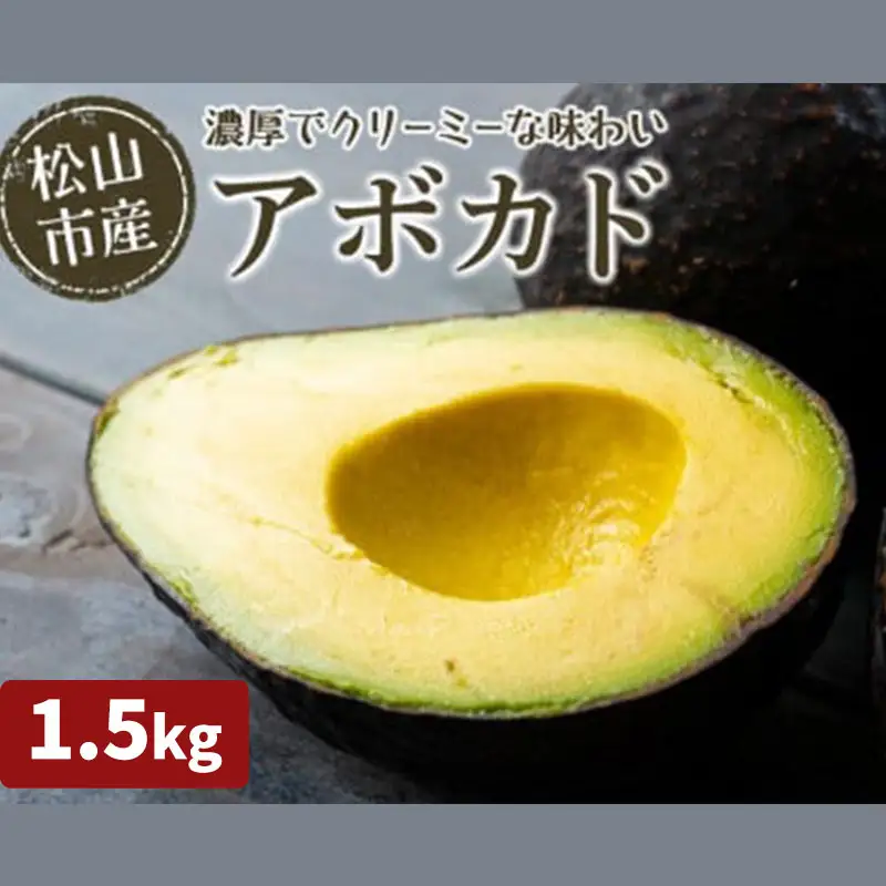 アボカド 1.5kg