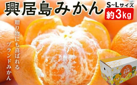 【2026年11月下旬頃から順次発送】 興居島みかん S～L サイズ 約3kg【FA0763】