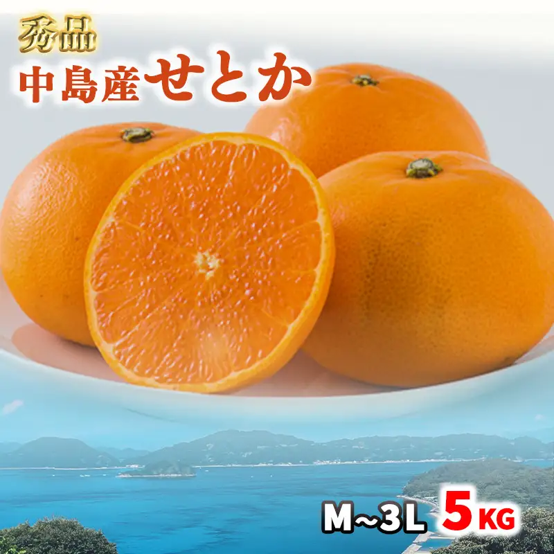 【秀品】 松山市中島産 せとかＭ～3Ｌサイズ　5kg 【FA0802】
