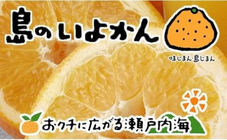 いよかん 伊予柑 4kg 愛媛県産 いよかん 【FT0101】