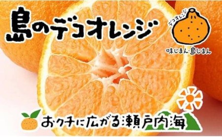 不知火 4kg 12玉 ~ 26玉 ( M ~ 3L ) 特選品 デコポン と同品種 【FT0141】