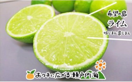 【2026年10月上旬頃から順次発送】希望の島 国産ライム 1kg 小玉～中玉 柑橘【FT026_x】
