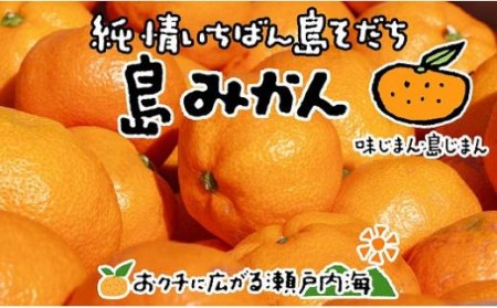 【2027年1月上旬頃から順次発送】希望の島 温州みかん 新品種『ゆたか』 3kg 愛媛県産 みかん 柑橘【FT028_x】