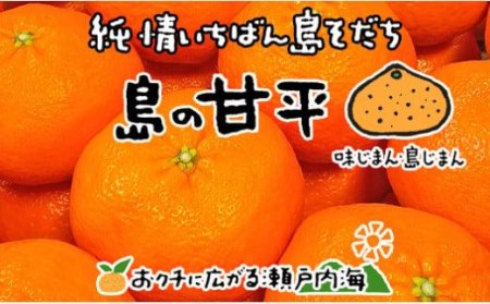 【甘平】【2027年2月中旬頃から順次発送】希望の島 ジャンボ甘平 特大（6L以上）約1kg（2玉）愛媛県松山市【FT0291】