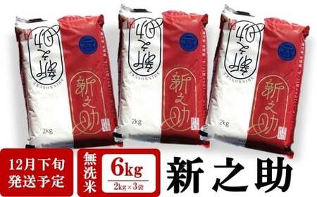 【新米先行予約】令和8年産米 新之助 無洗米 6kg（2kg×3袋）田村農産 しんのすけ[Y0097]