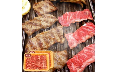 熊本県産 あか牛 カルビ 焼肉用 合計600g (300g×2パック) 