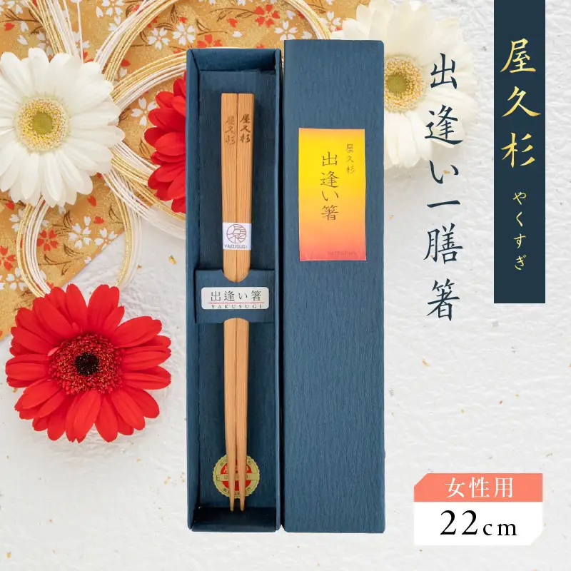 屋久杉 出逢い 一膳 箸 女性用（ 22cm ） K042-007_1
