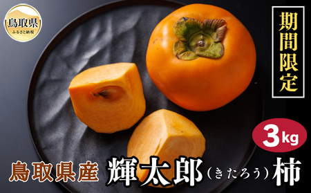 鳥取県産輝太郎（きたろう）柿　3kg【期間･数量限定】_T2600613