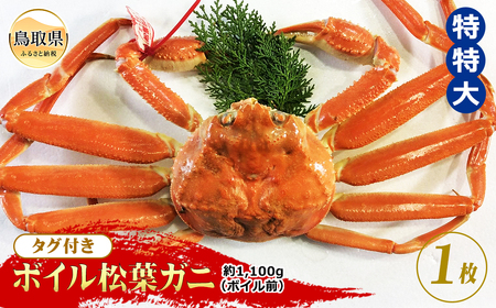  【魚倉】タグ付きボイル松葉ガニ 特特大 約1,100g（ボイル前）【期間限定】_T2600161