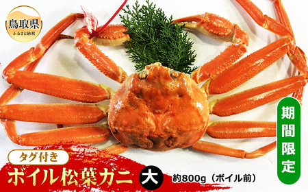  【魚倉】タグ付きボイル松葉ガニ 大 約800g（ボイル前）【期間限定】_T2600163