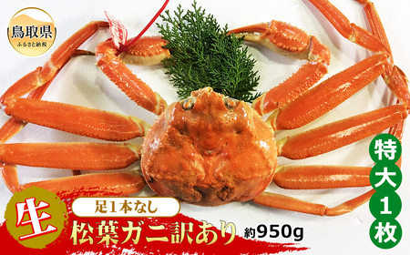  【魚倉】足1本なし生松葉ガニ訳あり 特大 約950g【期間限定】_T2600165