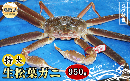  【魚倉】タグ付き生松葉ガニ 特大 約950g【期間限定】_T2600168