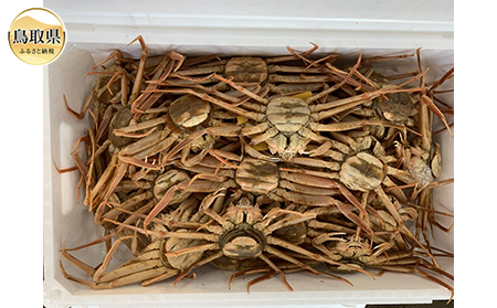  【魚倉】活お任せセコガ二 1kgセット【期間限定】_T2600174