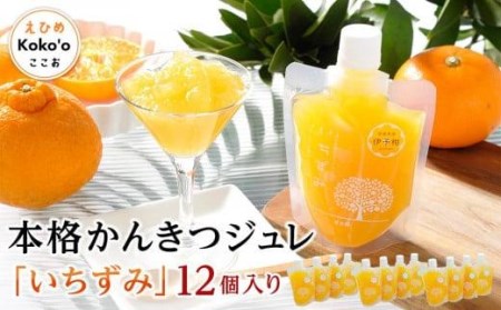 本格かんきつジュレ「いちずみ」12個入り（簡易BOX入り）| ゼリー ゼリー ゼリー ゼリー ゼリー【KK0091】