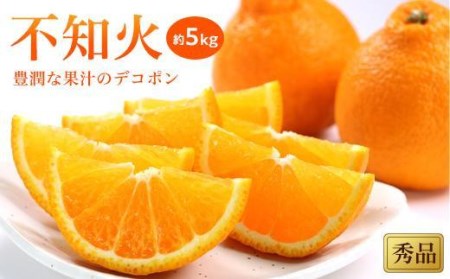 【2027年2月上旬頃から順次発送】 不知火(しらぬい)＜秀品＞約5kg【KK018_x】
