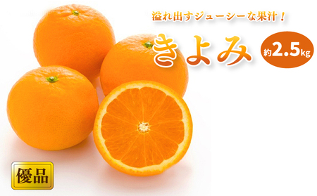 【2027年3月中旬頃から順次発送】きよみ 家庭用(優品) 約2.5kg みかん 松山市 愛媛県 【KK0232】