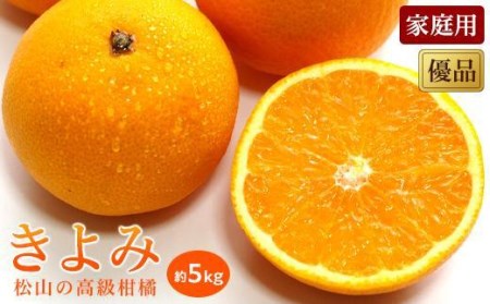 【2027年3月中旬頃から順次発送】 きよみ＜家庭用・優品＞約5kg【KK024_x】