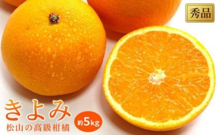 【2027年3月中旬頃から順次発送】 きよみ＜秀品＞約5kg【KK0251_x】