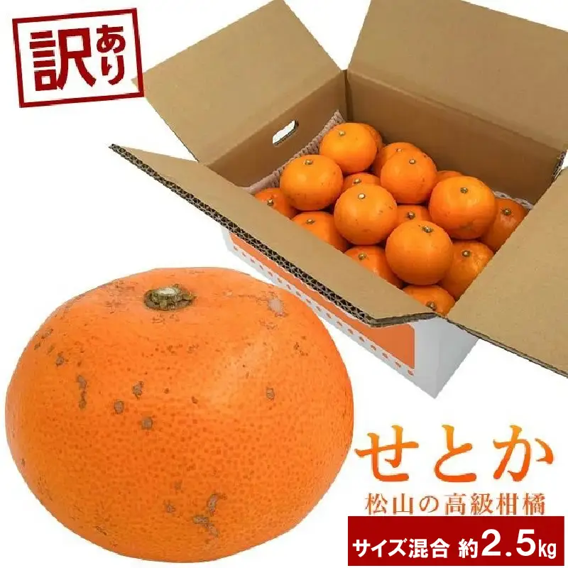 【訳あり】 せとか 約2.5kg 【2027年2月中旬頃から順次発送】 【せとか】【KK0743】