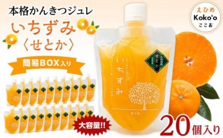 本格かんきつジュレ「いちずみ」＜せとか＞　20個入り（簡易BOX入り）【KK1061】