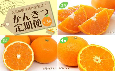 全3回 かんきつ定期便 家庭用 優品 せとか きよみ カラマンダリン 愛媛県 松山市 【KK1092】