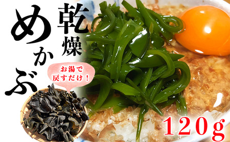 岬だより コリコリ食感・粘り抜群の乾燥めかぶ　120g×1袋