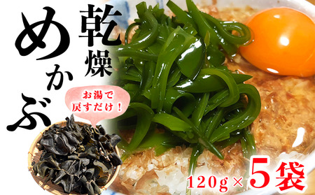 岬だより コリコリ食感・粘り抜群の乾燥めかぶ　120g×5袋