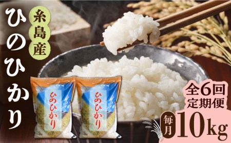 【全6回定期便】ひのひかり 10kg × 6回  糸島市 / 三島商店 [AIM015] 米 白米