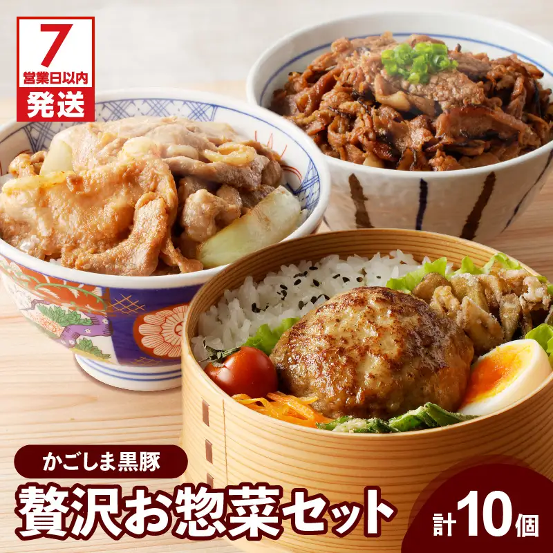 【7営業日以内に発送】【 岩元精肉店 】鹿児島県産 贅沢 お惣菜 詰合せ セット A K045-009 肉 豚肉 惣菜 総菜 冷凍 ハンバーグ スピード配送 最短 すぐ届く お急ぎ