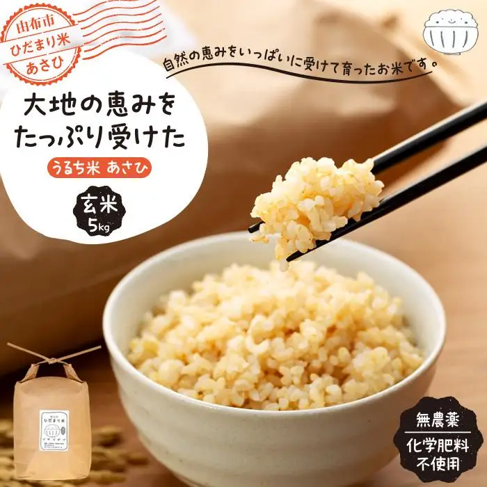 【無農薬・化学肥料不使用】大地の恵みをたっぷり受けた うるち米　あさひ（玄米）5kg