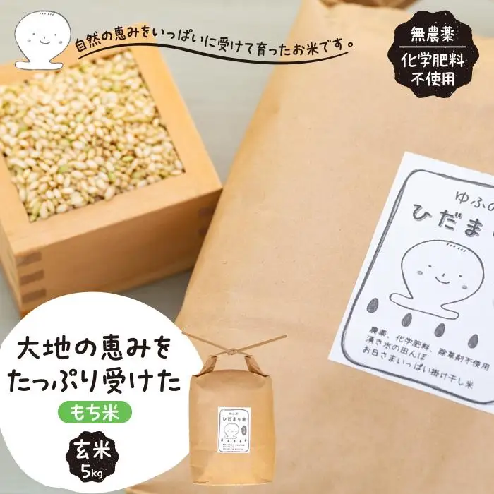 【無農薬・化学肥料不使用】大地の恵みをたっぷり受けた もち米（玄米）5kg