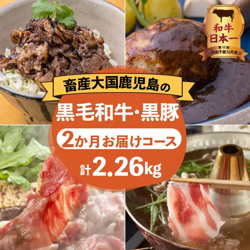 【岩元精肉店】鹿児島県産黒毛和牛・かごしま黒豚 お楽しみ2か月お届けコース K045-T02 肉 豚肉 牛肉 惣菜 総菜 冷凍