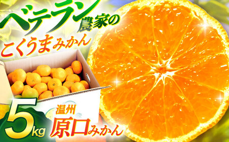 【数量限定】温州高糖度 原口みかん 約5kg[OAF004] ミカン