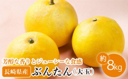 【数量限定】文旦(ぶんたん) 大玉 約8kg[OAF001] 文旦