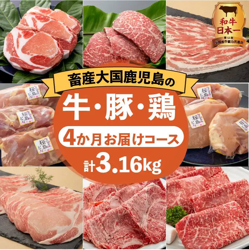 【 岩元精肉店 】 鹿児島県産 精肉 厳選 4か月 お届け コース K045-T04 肉 豚肉 牛肉 鶏肉 冷凍