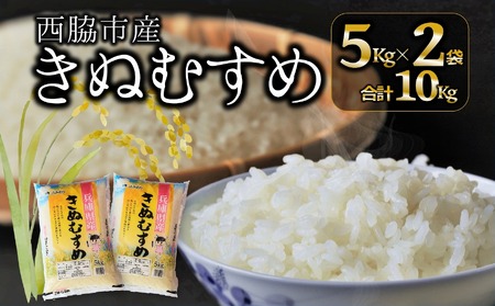 【ブランド米 きぬむすめ】精米10kg（5kg×2袋）／19.5-3 精米 米 お米 ブランド米 精米 米 お米 ブランド米